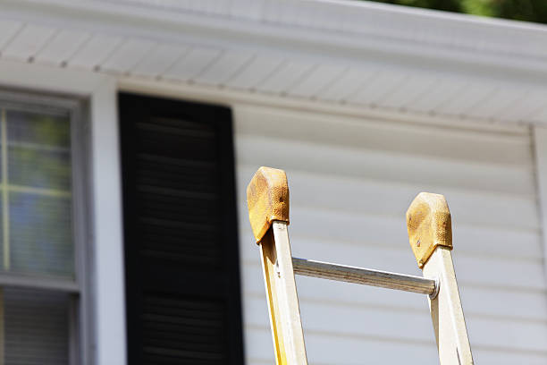 Best Storm Damage Siding Repair  in Roseland, FL