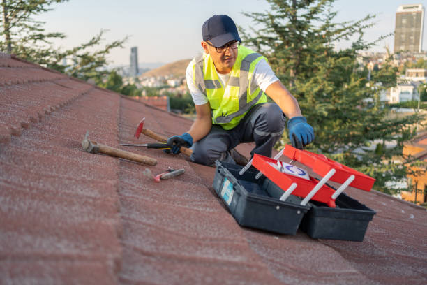 Best Insulated Siding Installation  in Roseland, FL